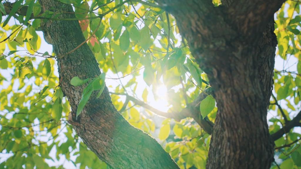 �й�����������-�ٷ���վ