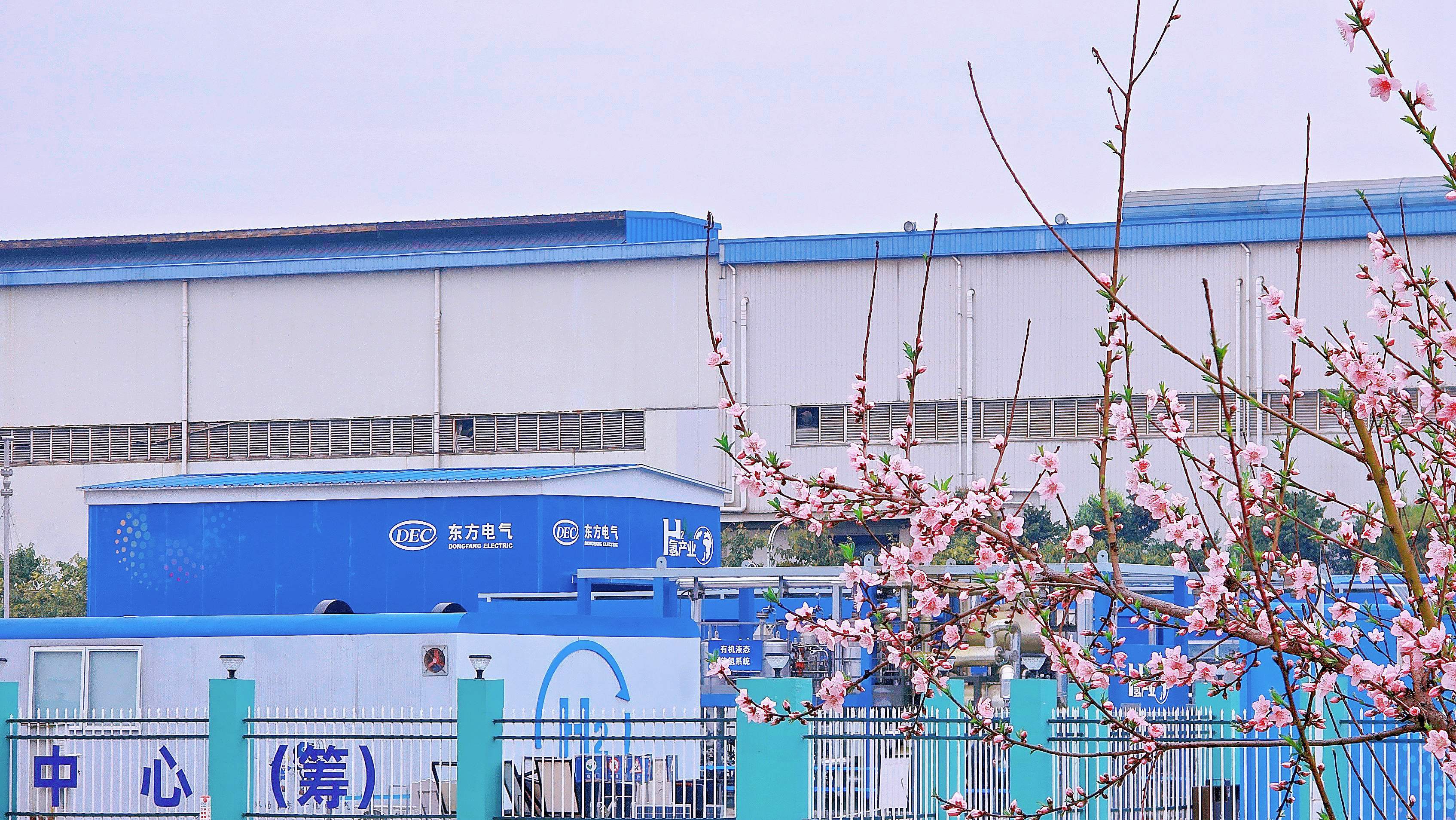 �й�����������-�ٷ���վ