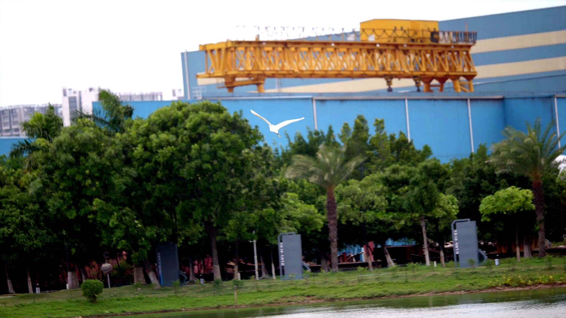 �й�����������-�ٷ���վ