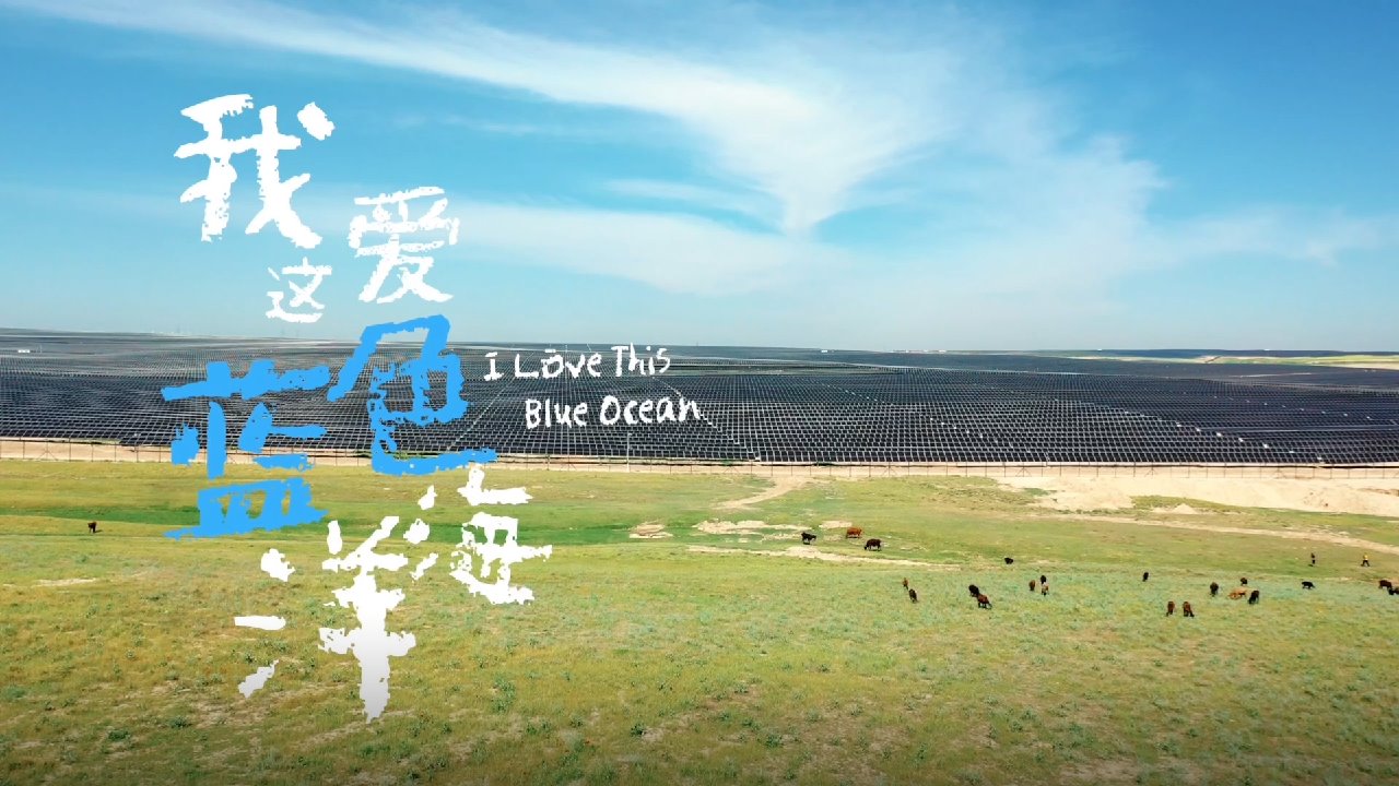 �й�����������-�ٷ���վ