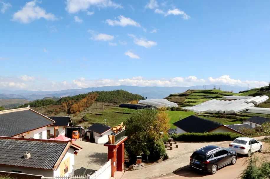 �й�����������-�ٷ���վ