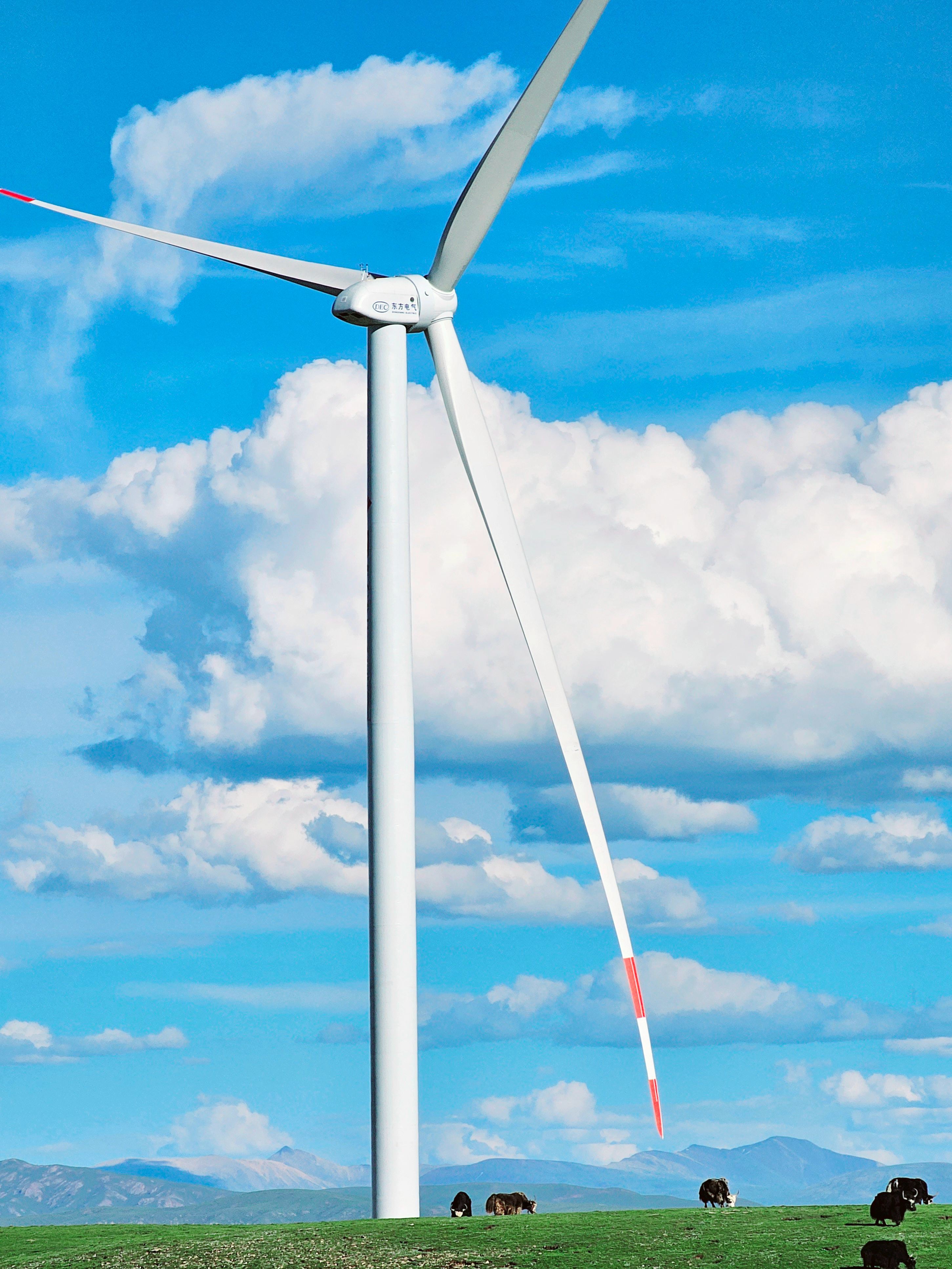 �й�����������-�ٷ���վ