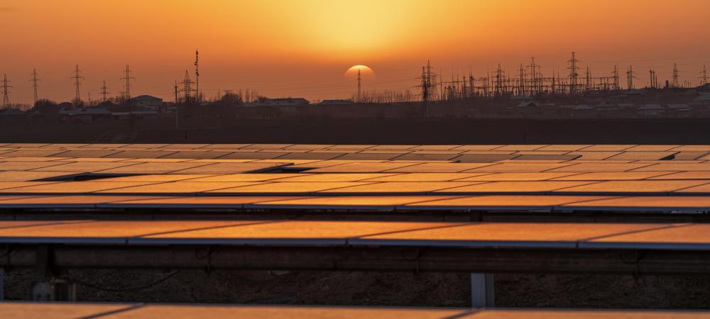 �й�����������-�ٷ���վ