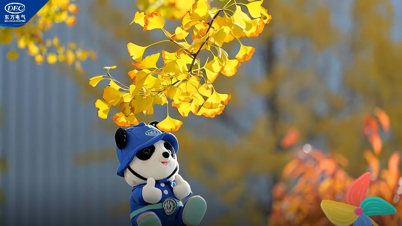 �й�����������-�ٷ���վ