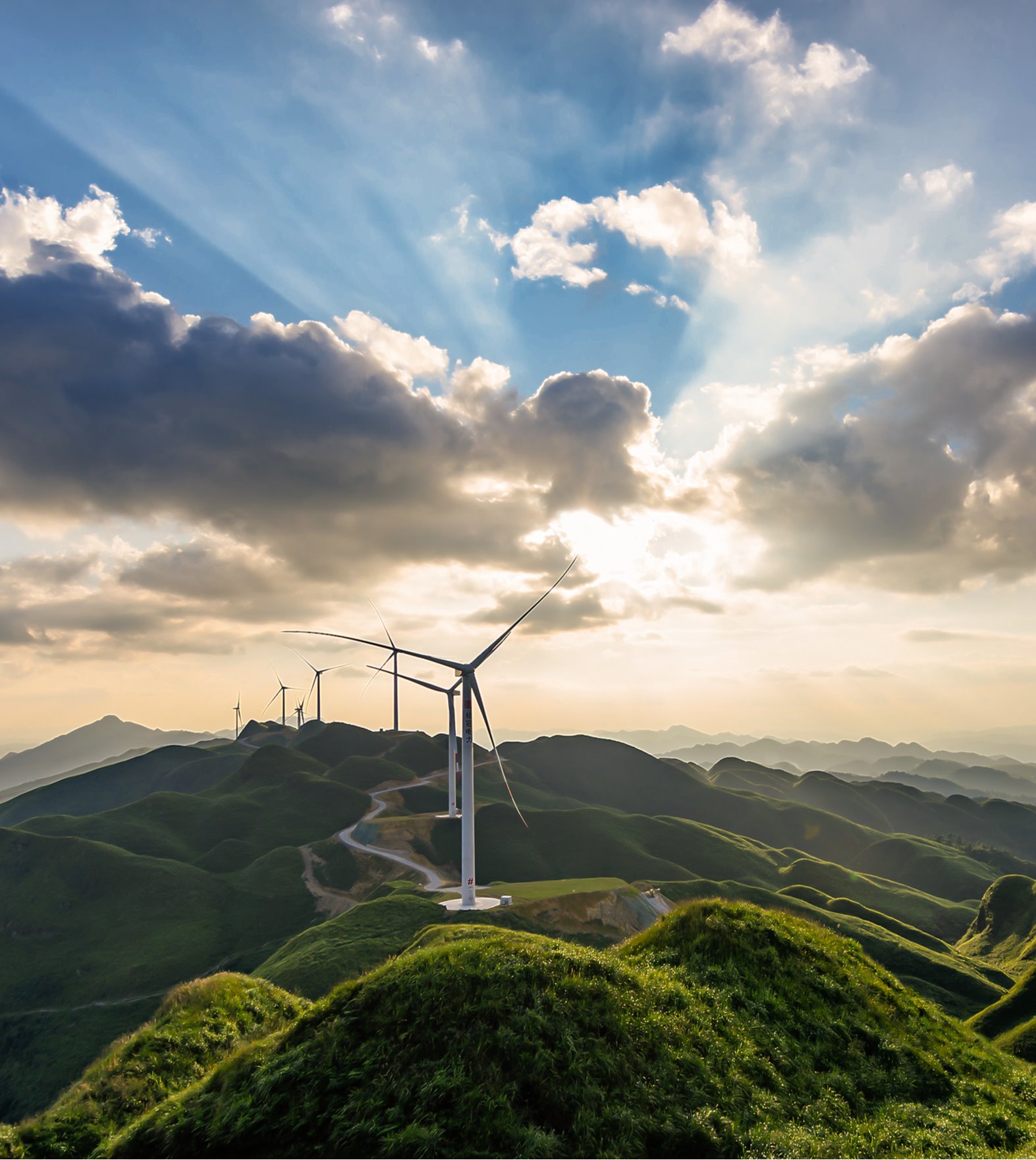 �й�����������-�ٷ���վ