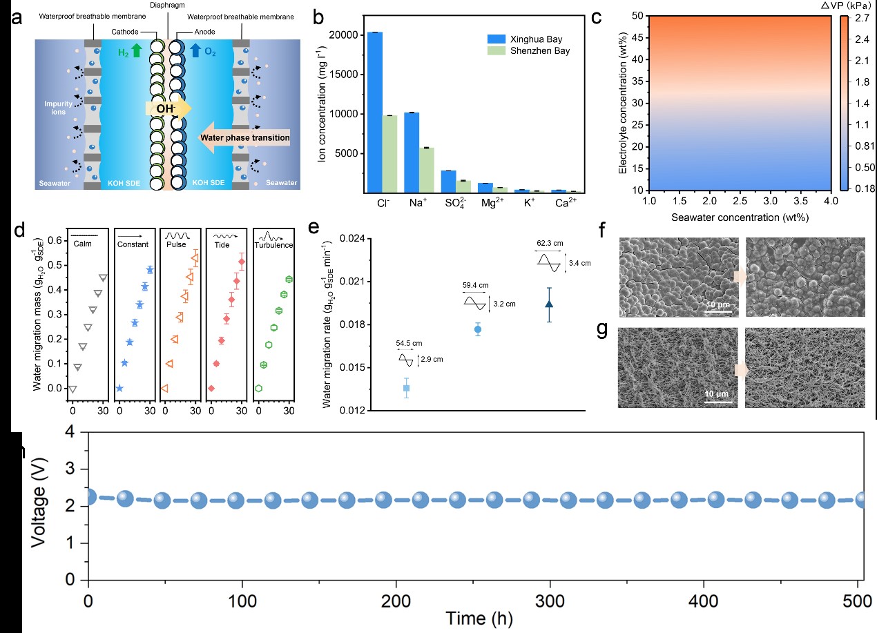 �й�����������-�ٷ���վ