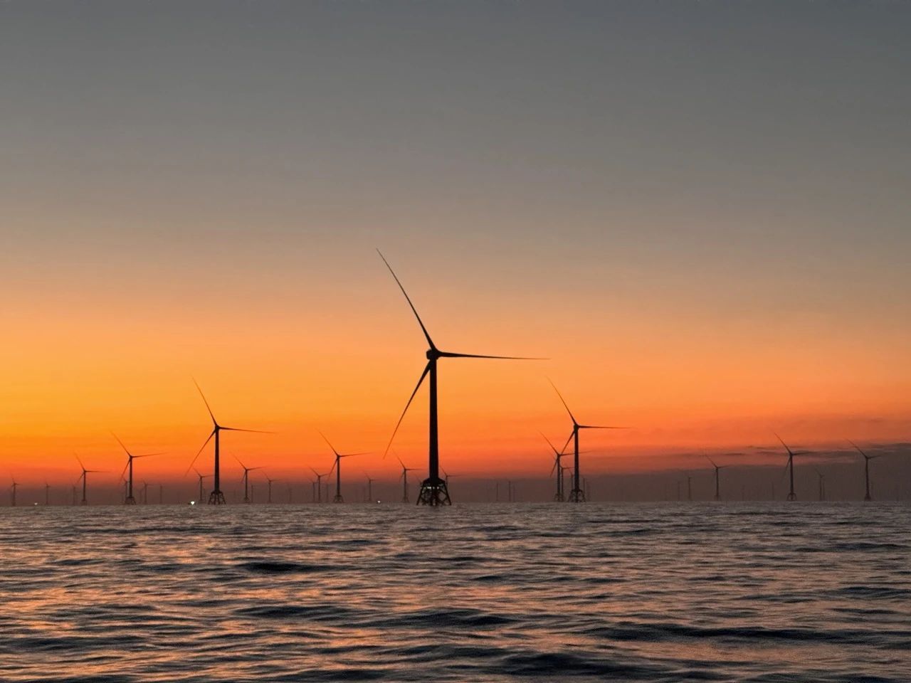 Öйú¡¤ÓÀÀû¼¯ÍÅ-¹Ù·½×ÜÕ¾