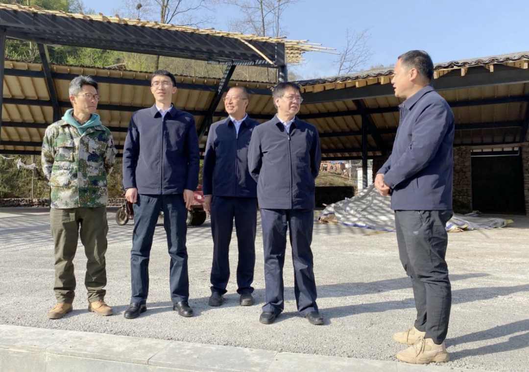 �й�����������-�ٷ���վ