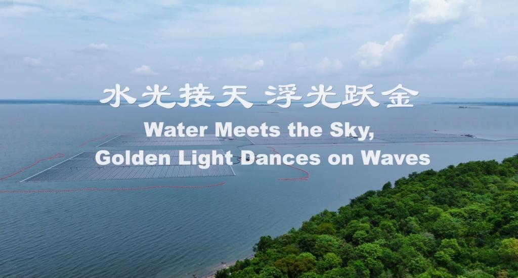 �й�����������-�ٷ���վ