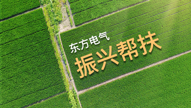 �й�����������-�ٷ���վ