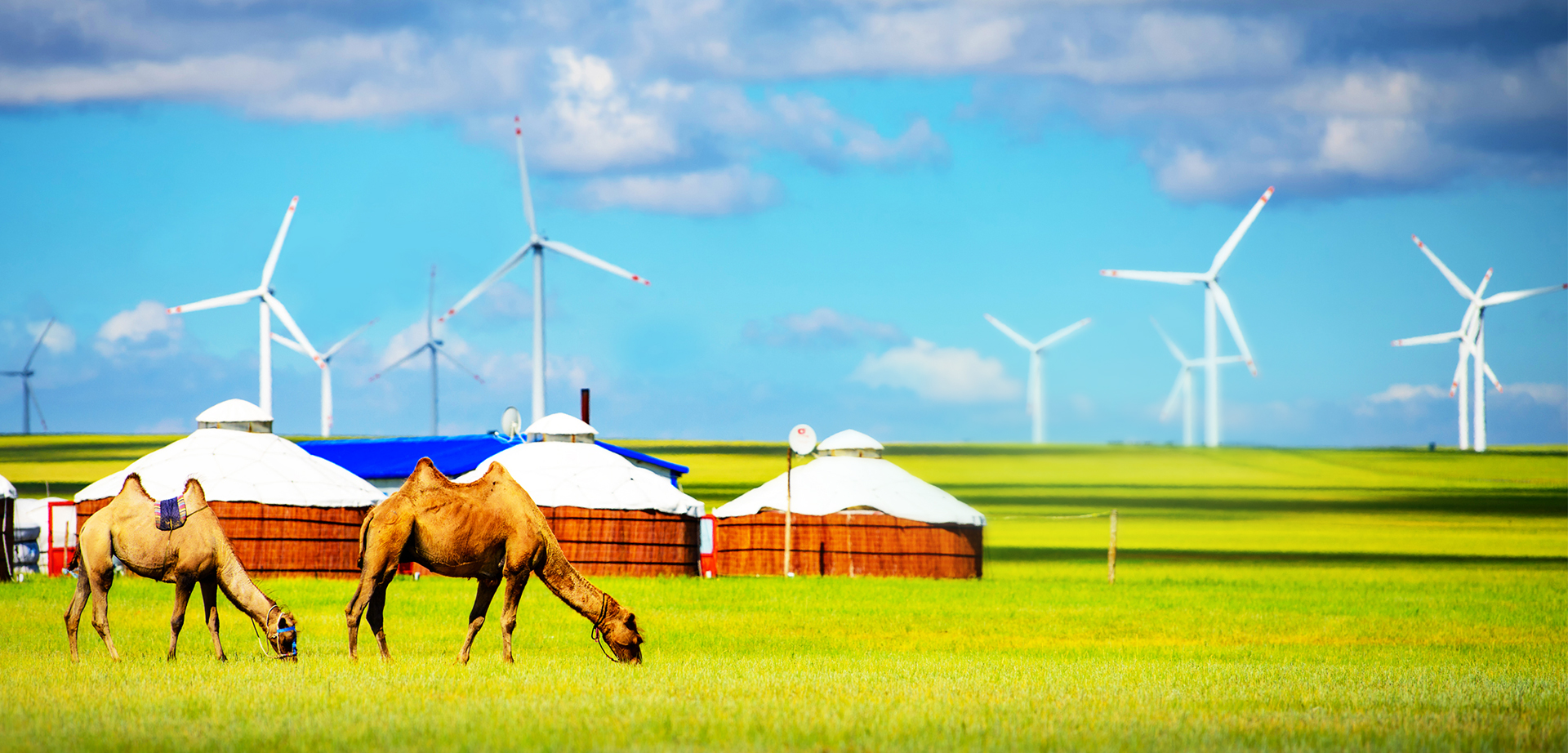 �й�����������-�ٷ���վ